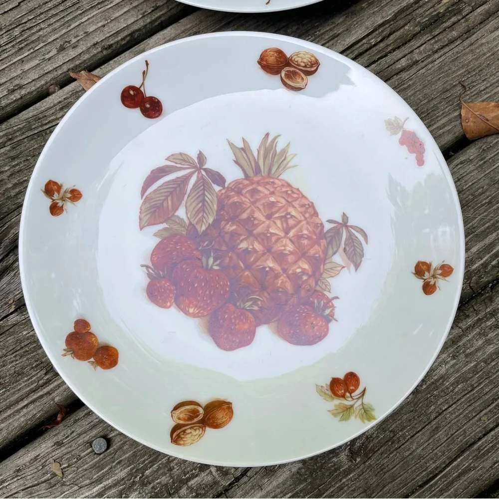 Five Vintage Bavaria Fruit Plates White Porcelain Debra Germany - Set of 5